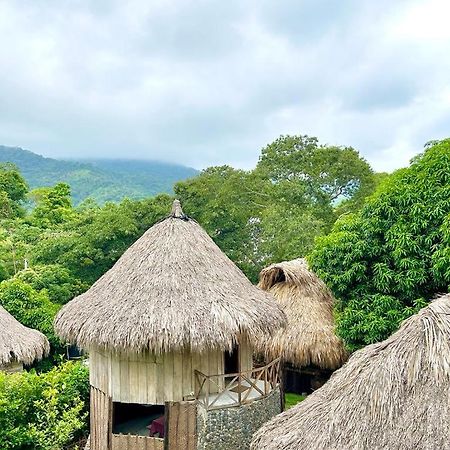 Ecocabanas Diosa Jaguar Tayrona La Esmeralda  Eksteriør billede