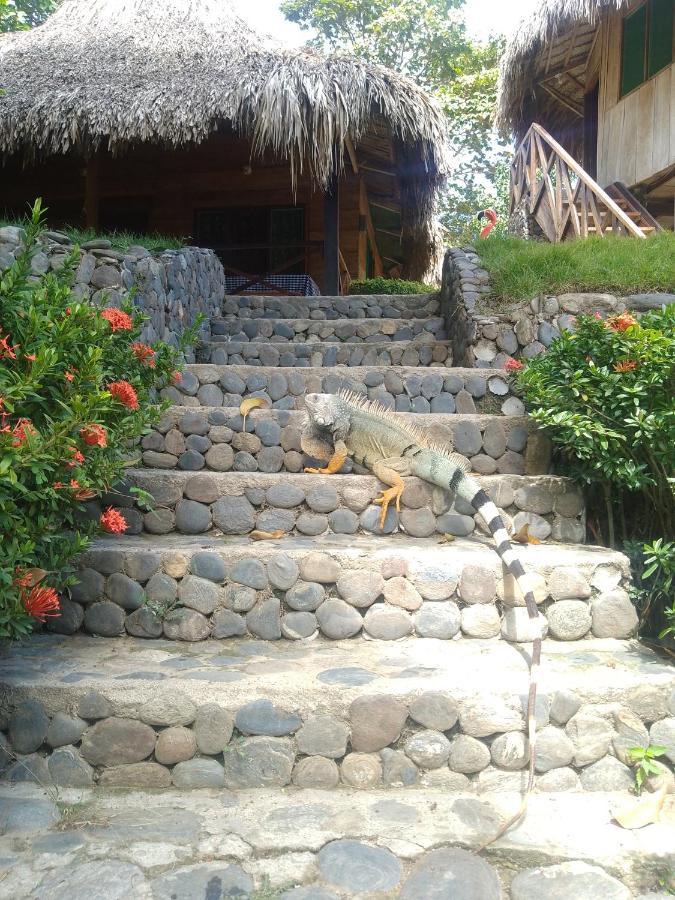 Ecocabanas Diosa Jaguar Tayrona La Esmeralda  Eksteriør billede