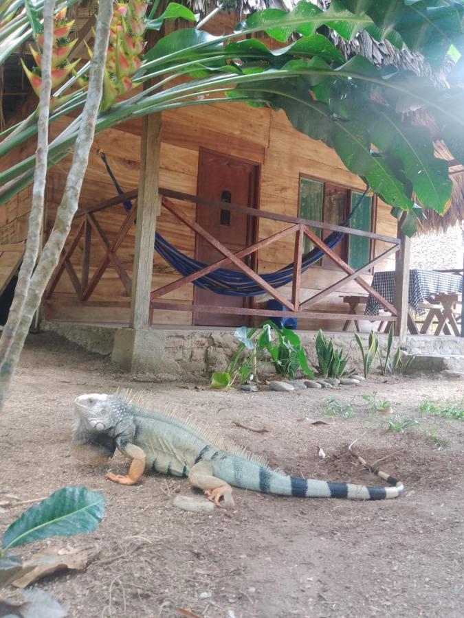 Ecocabanas Diosa Jaguar Tayrona La Esmeralda  Eksteriør billede