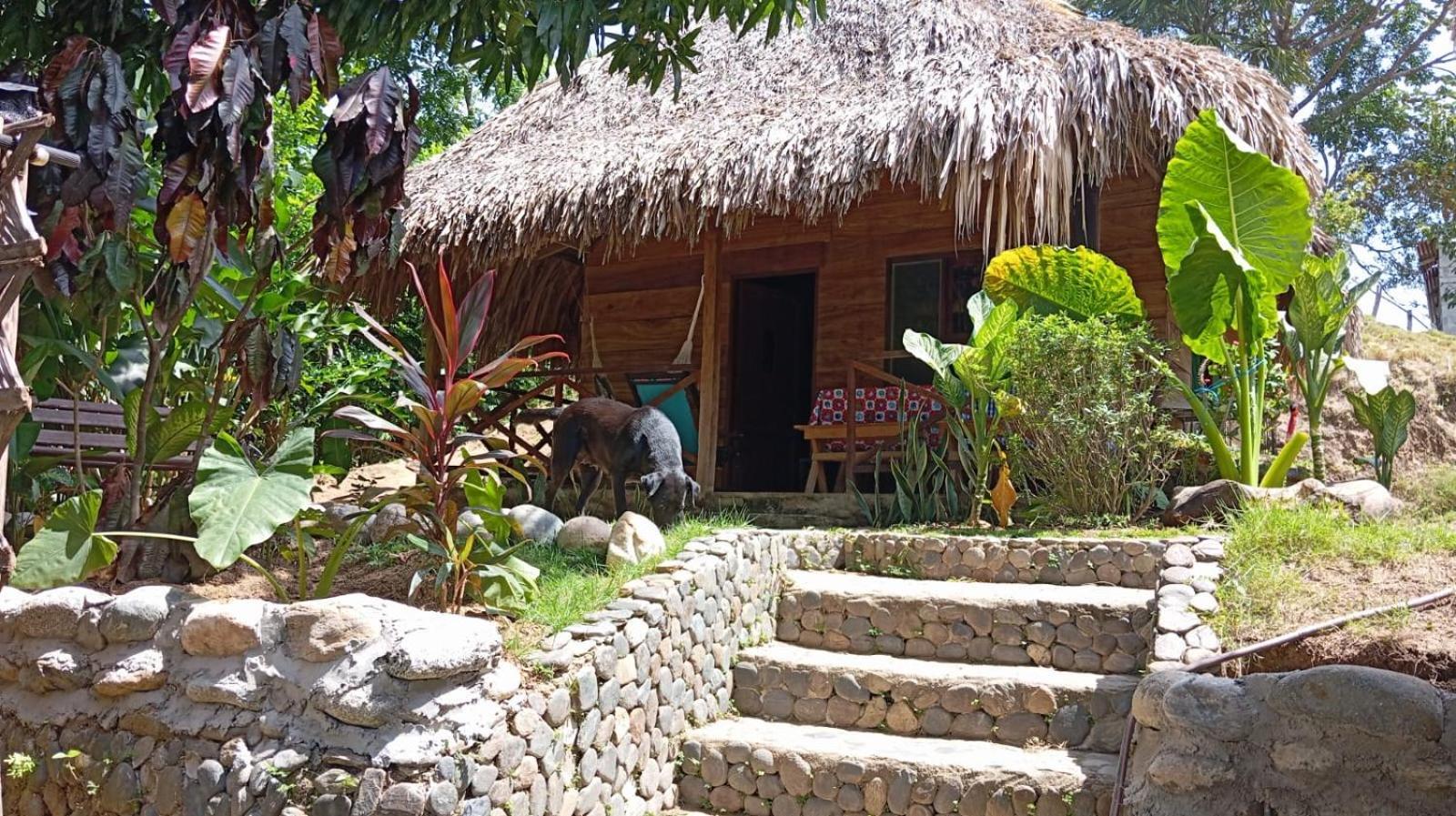 Ecocabanas Diosa Jaguar Tayrona La Esmeralda  Eksteriør billede