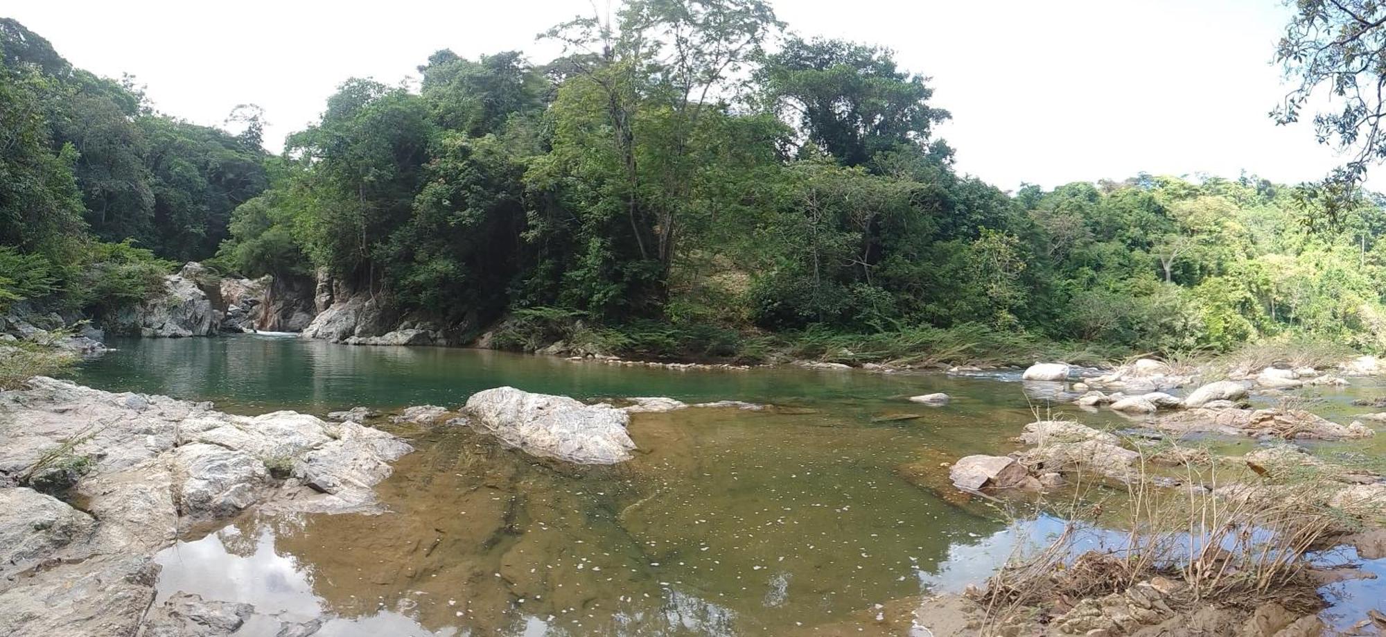 Ecocabanas Diosa Jaguar Tayrona La Esmeralda  Eksteriør billede