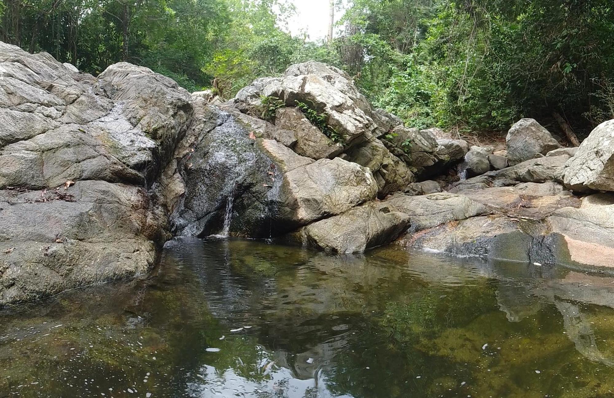 Ecocabanas Diosa Jaguar Tayrona La Esmeralda  Eksteriør billede