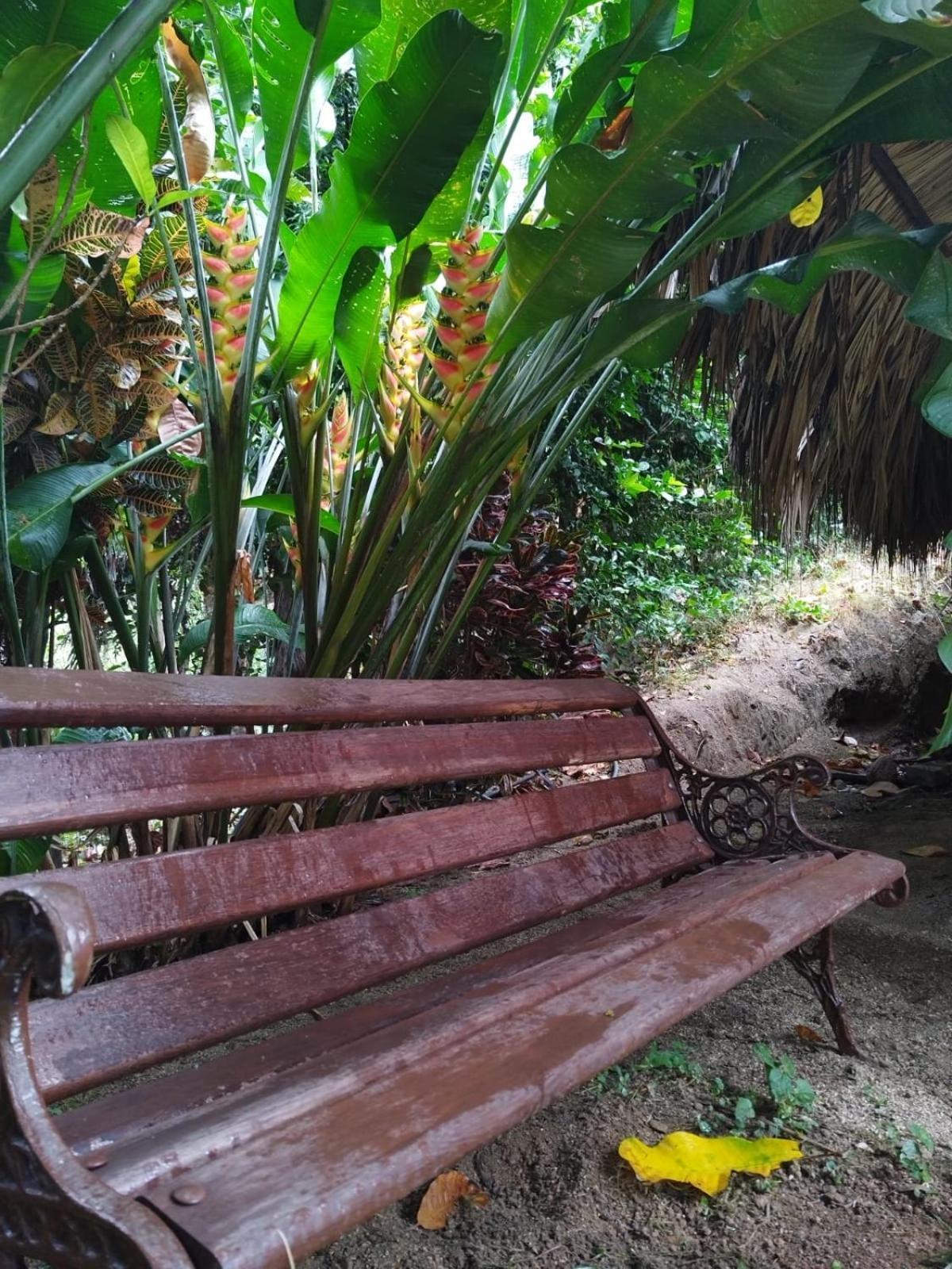 Ecocabanas Diosa Jaguar Tayrona La Esmeralda  Værelse billede