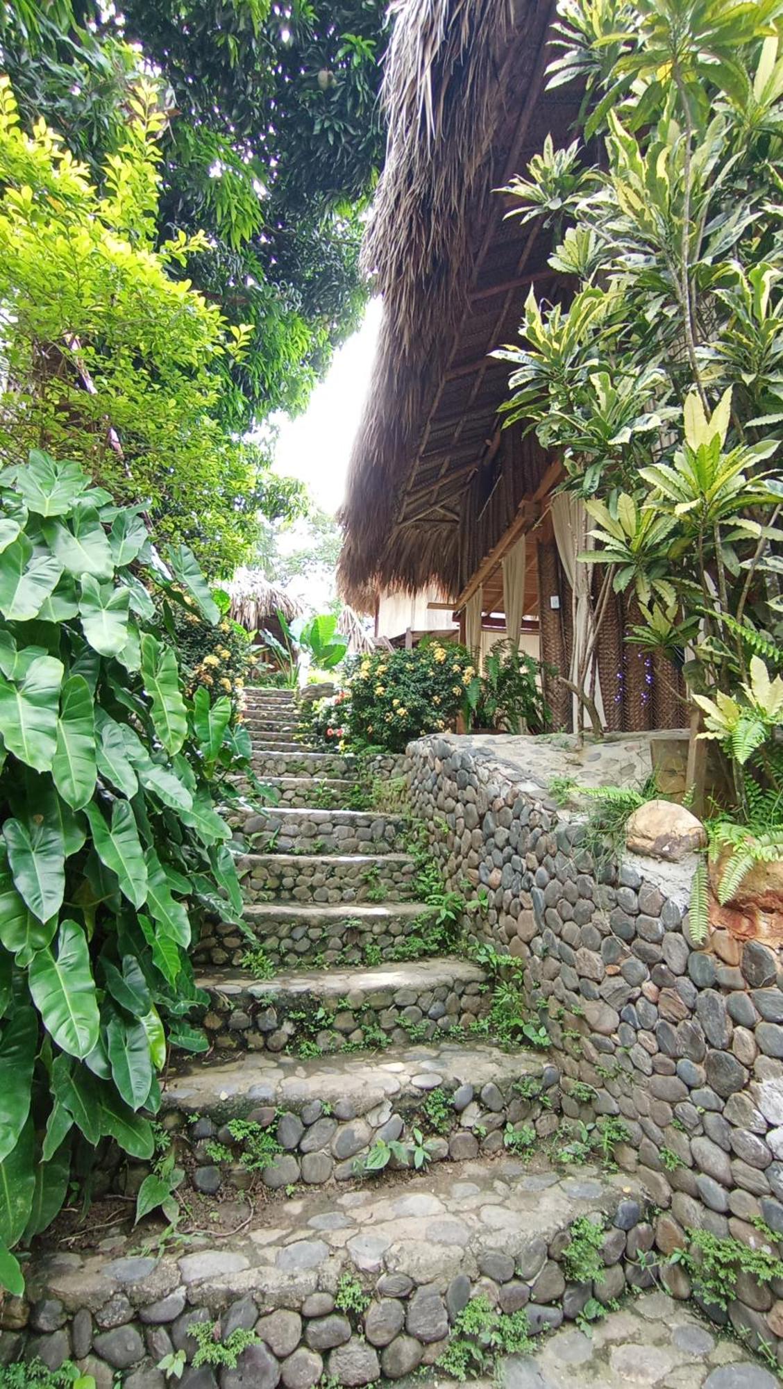 Ecocabanas Diosa Jaguar Tayrona La Esmeralda  Eksteriør billede