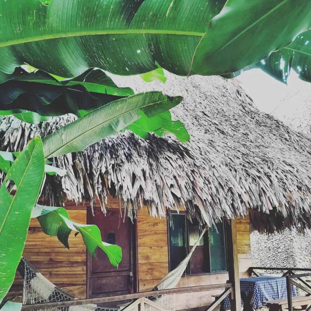 Ecocabanas Diosa Jaguar Tayrona La Esmeralda  Eksteriør billede