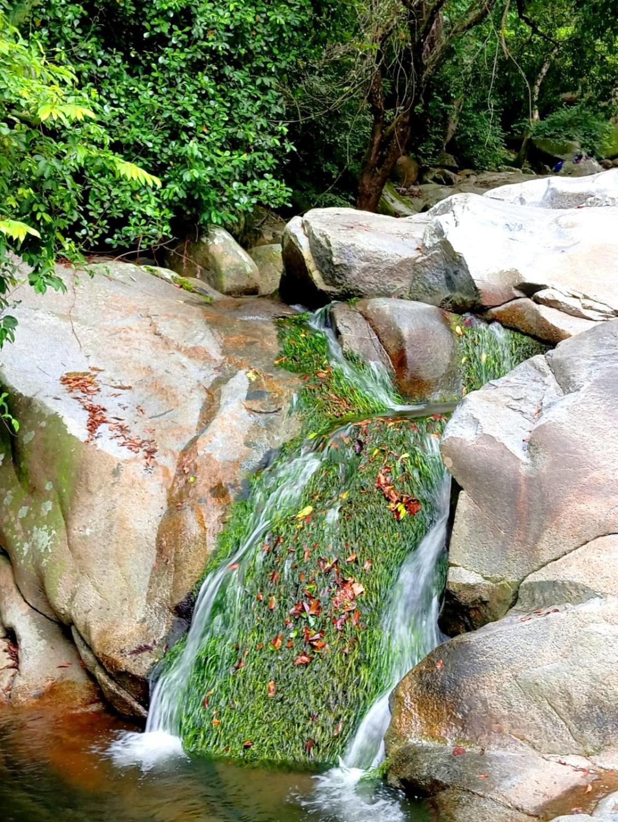 Ecocabanas Diosa Jaguar Tayrona La Esmeralda  Eksteriør billede