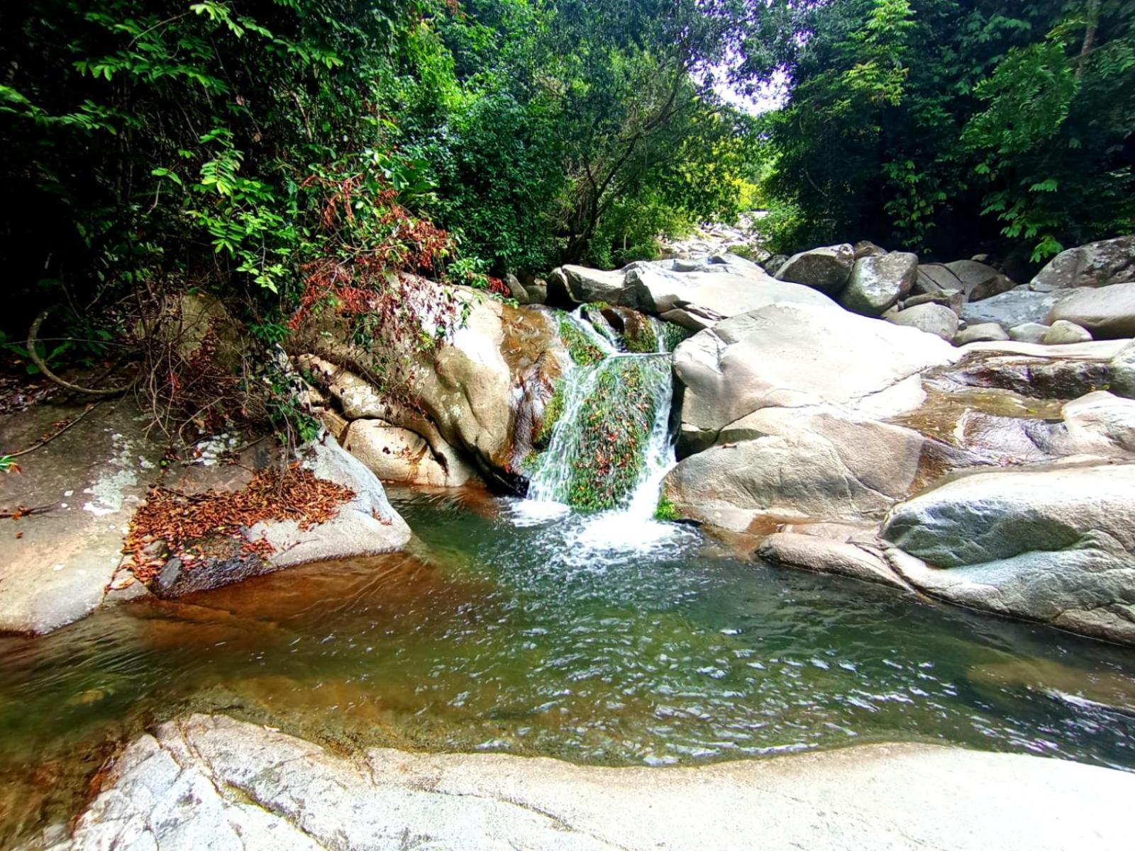 Ecocabanas Diosa Jaguar Tayrona La Esmeralda  Eksteriør billede