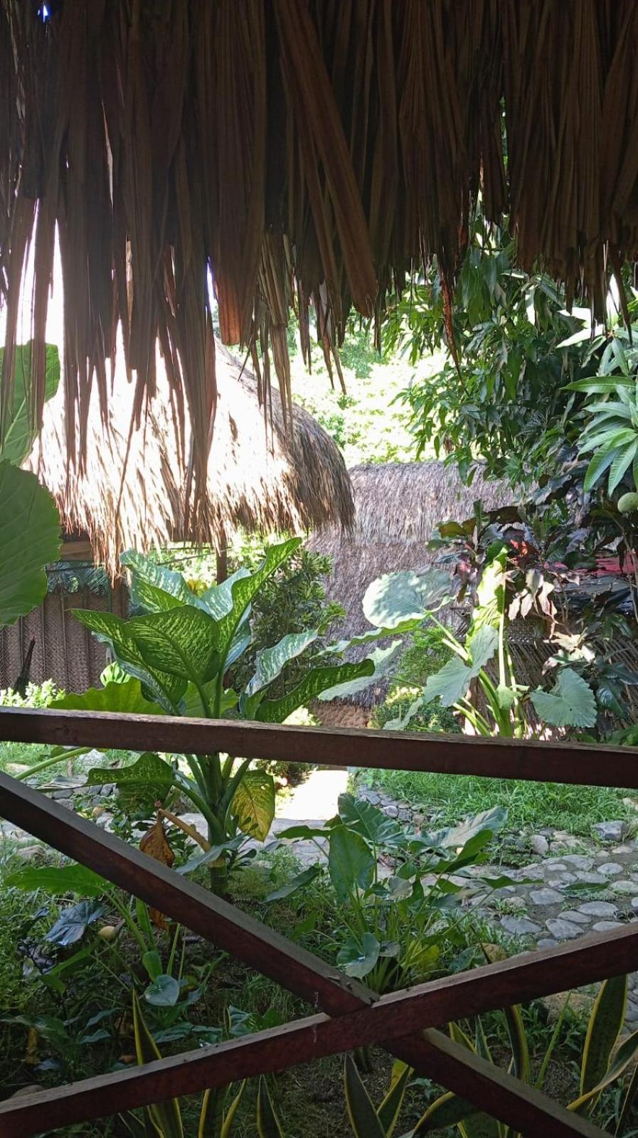Ecocabanas Diosa Jaguar Tayrona La Esmeralda  Eksteriør billede